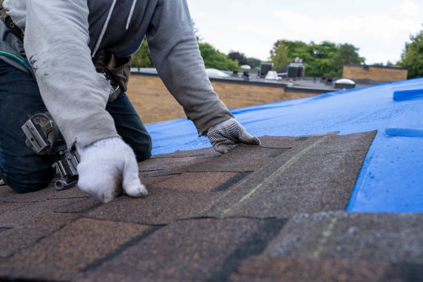 Best Storm Damage Roof Repair  in Versailles, OH