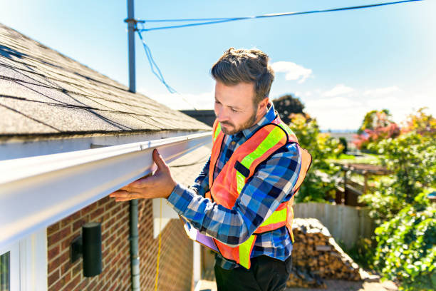 Best Roof Moss and Algae Removal  in Versailles, OH